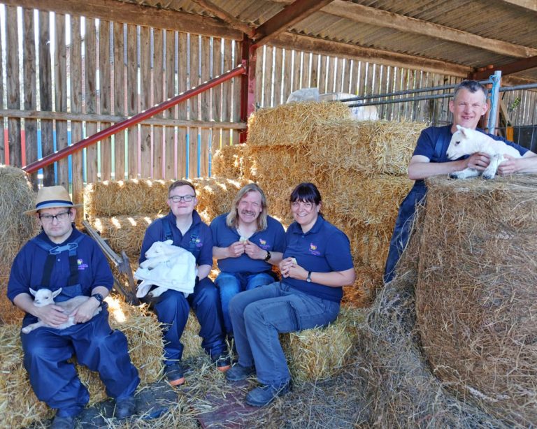 life skills students helping during lambing season