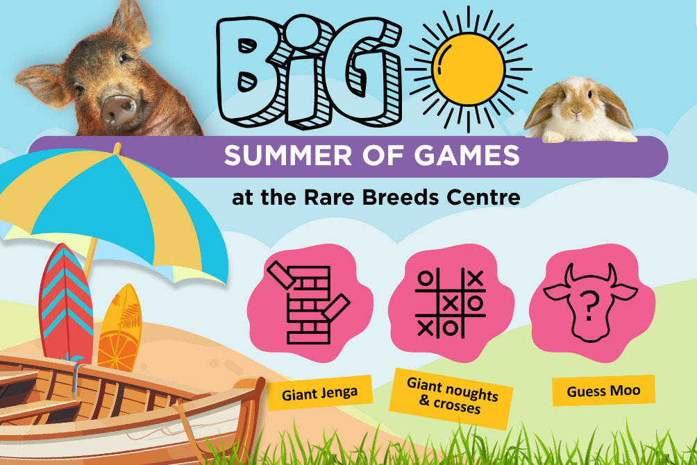 Big summer of games