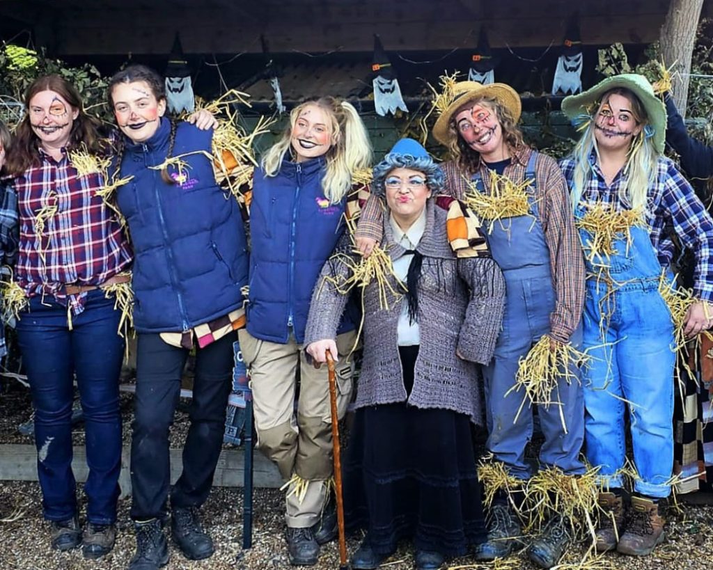 Our farm team dressed as scarecrows for Halloween