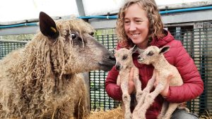 Spring means baby animals on the farm