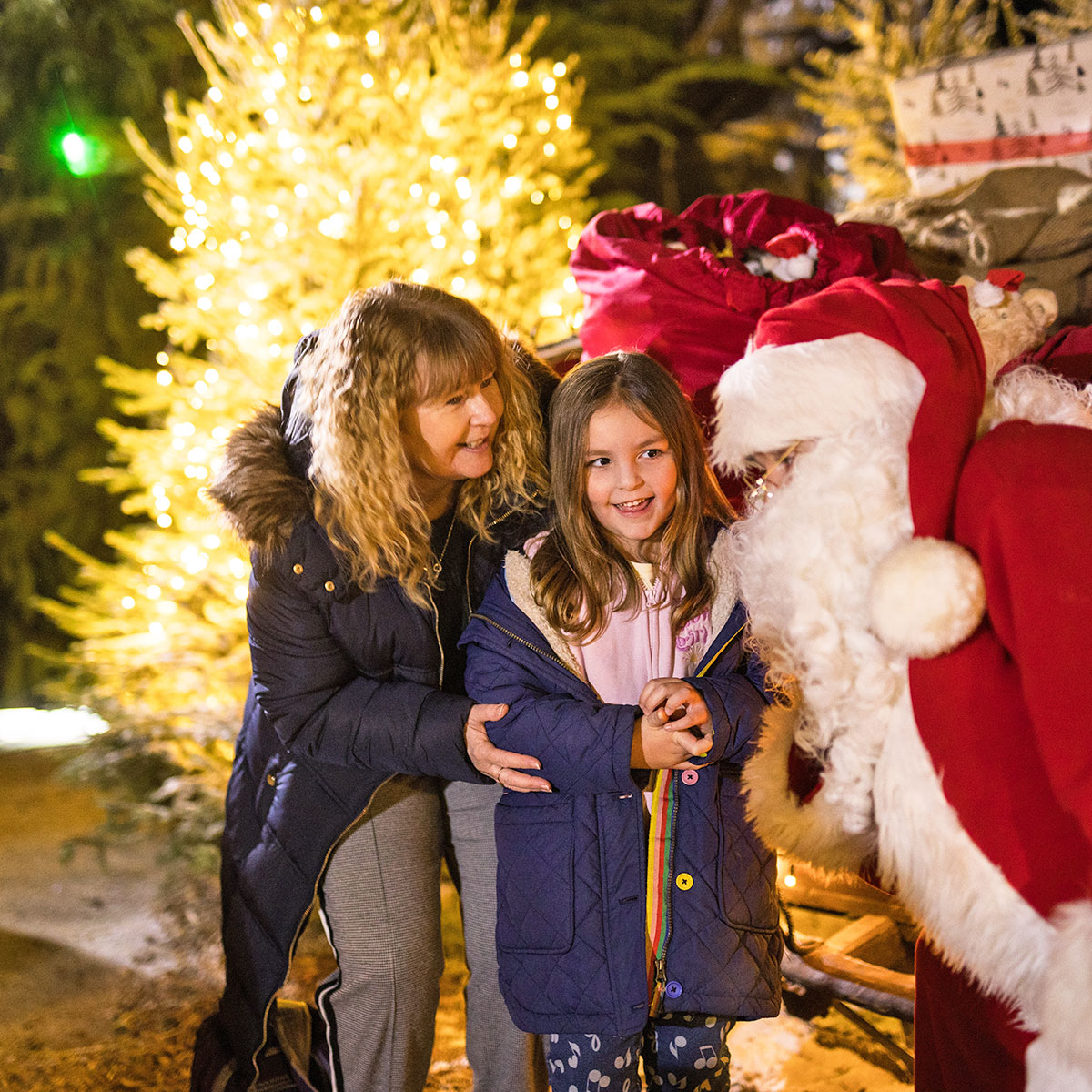 Santas Grotto Christmas