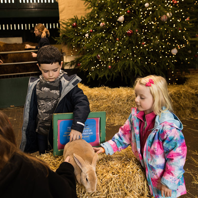 Picture of chidren petting a rabbit in the Childrens Barn at Christmas