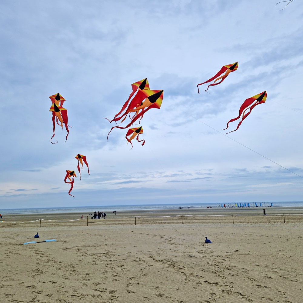 Kent kite flyers flotail kites