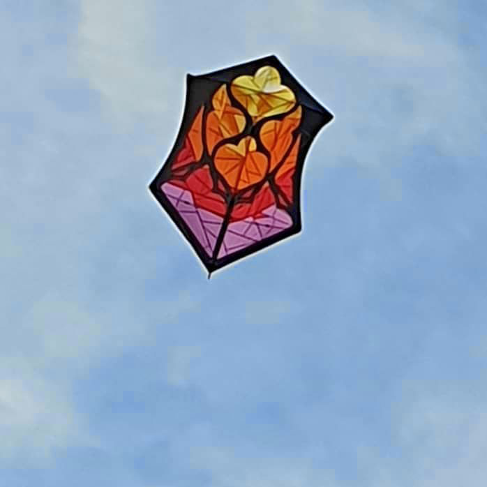 Kent kite flyers window kite