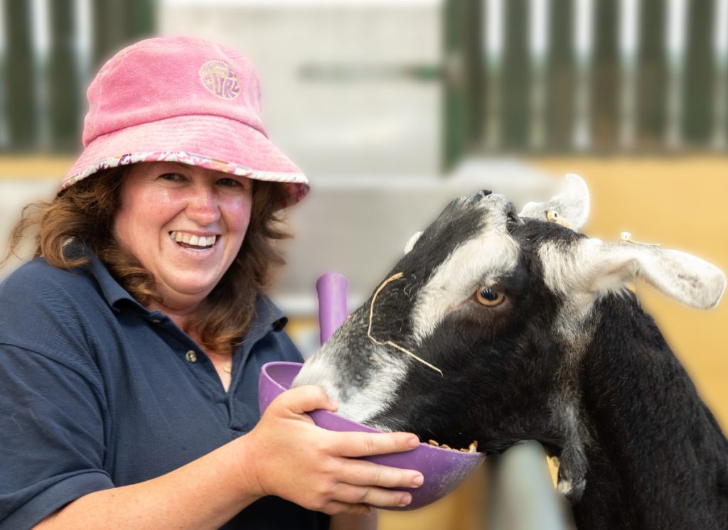Supported living - supprrted person feeding a goat on our farm