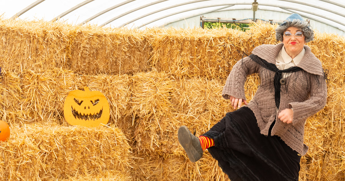 Halloween on the farm