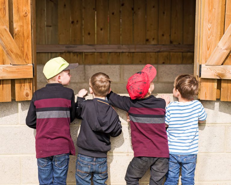 4 boys looking into a pig pen