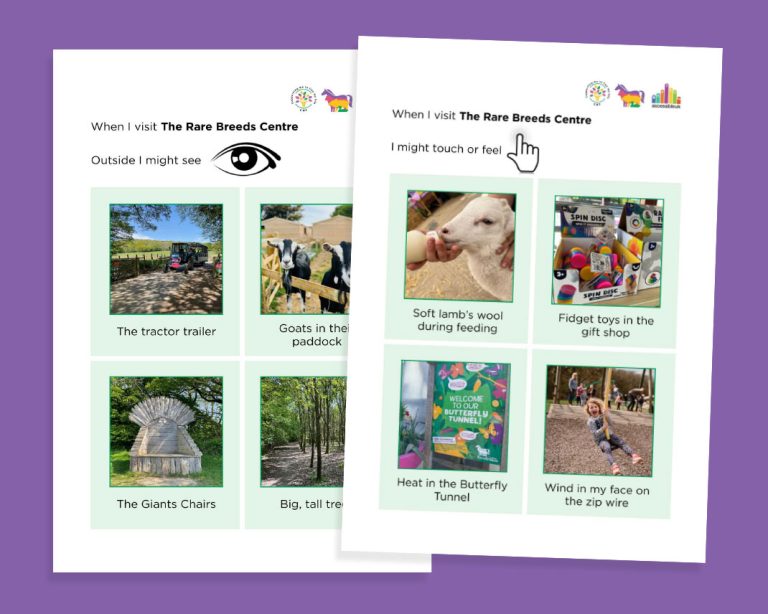 Sensory story image