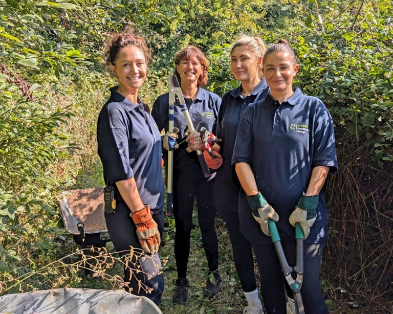 A group of corporate volunteers at Poulton Wood