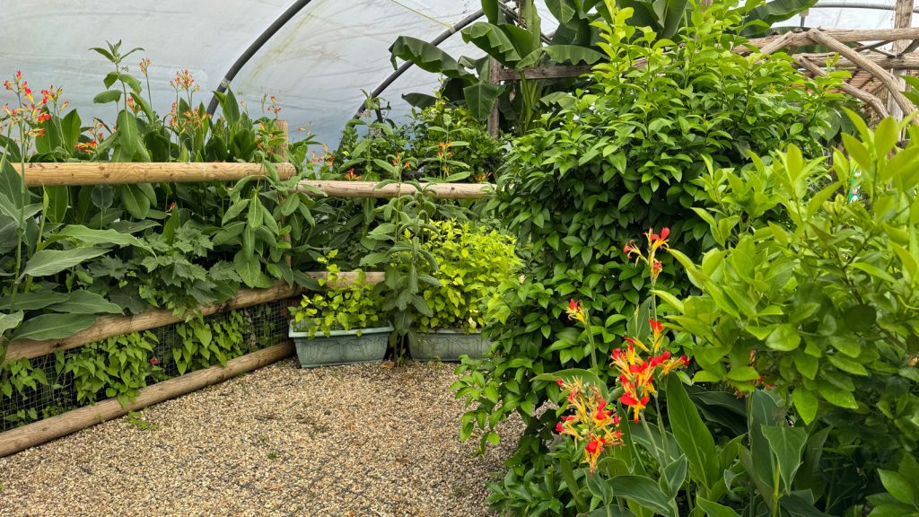Butterfly tunnel