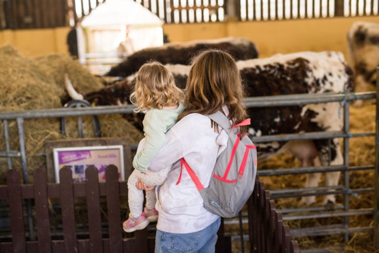 Cattle barn
