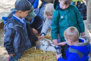 School group meeting the animals