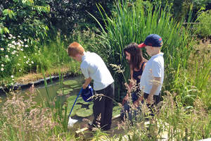 School group doing pond dipping
