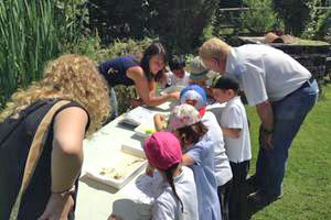 School group doing an outside activity at a table