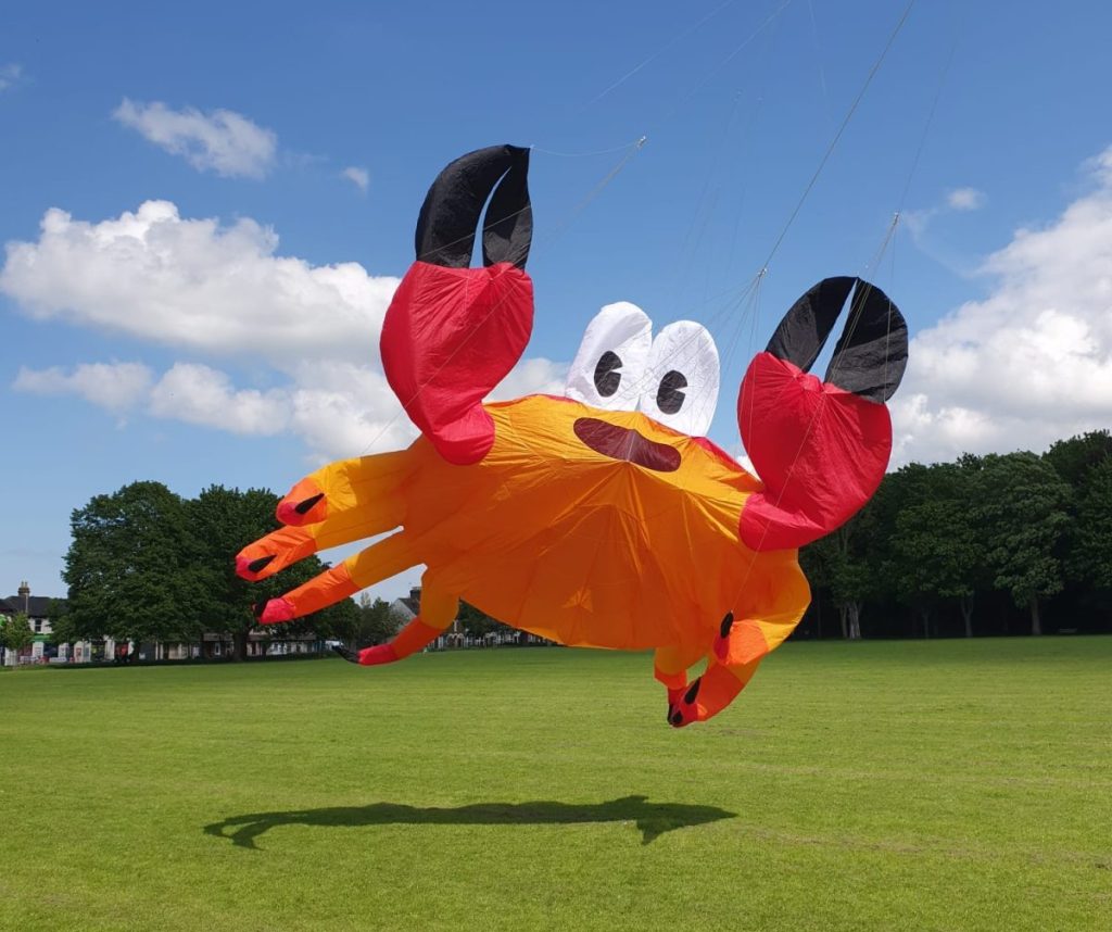 Image of crab shaped kite