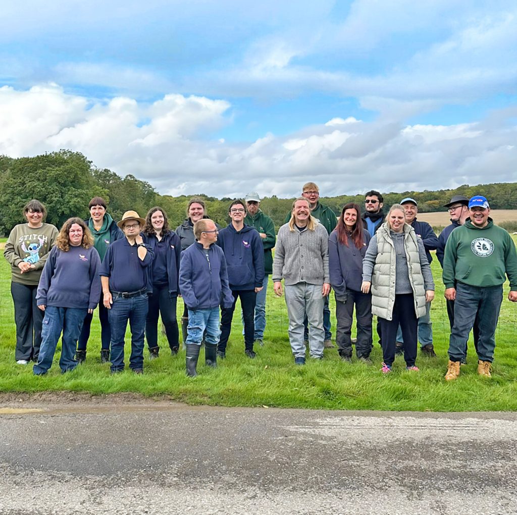 Farm team