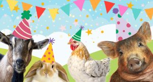 Birthday Parties on the farm coming soon!