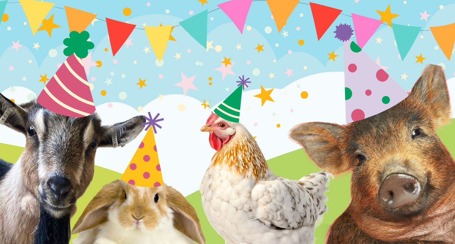 Farm animals wearing party hats