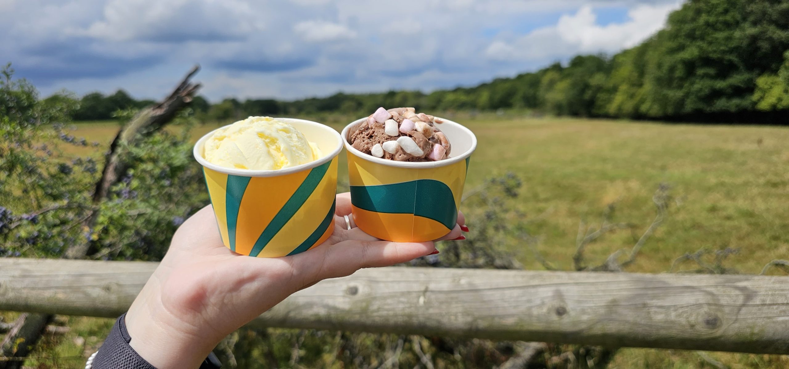 Kelly's ice cream on the farm