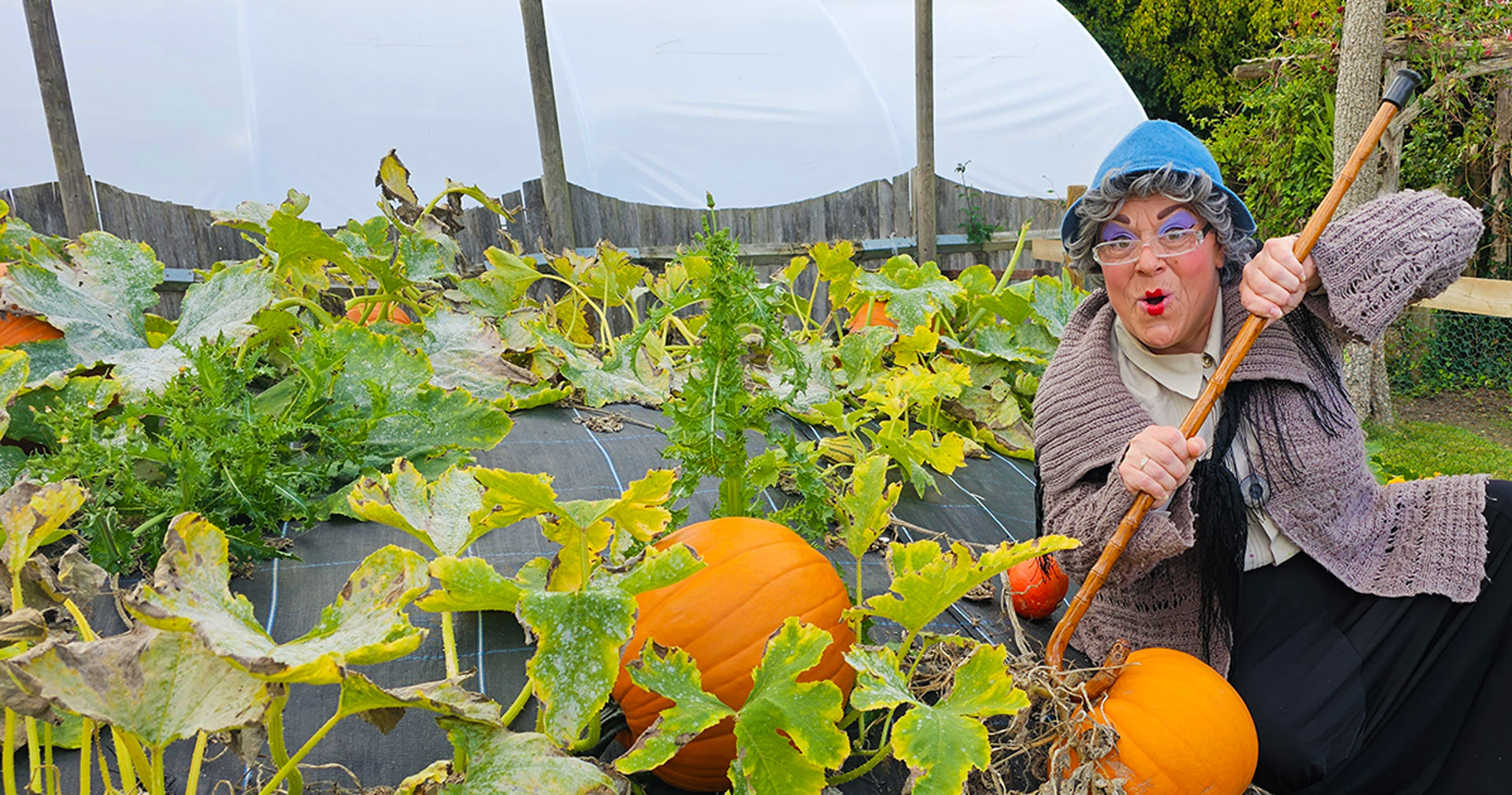 Farmyard Frights and Trick or Treat Delights, from Canterbury Oast Trust (Rare Breeds Centre)