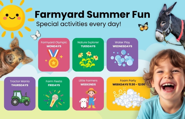 Farmyard Summer Fun