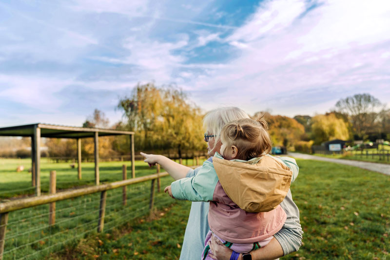 Baby with grandparent pointing at sheep in a field