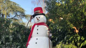 Celebrate this Christmas season on our farm