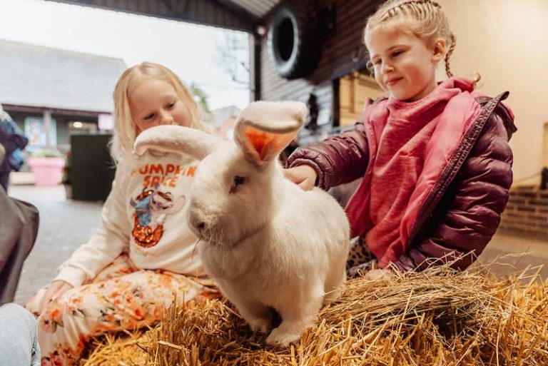 Children petting a rabbit in the children's barn