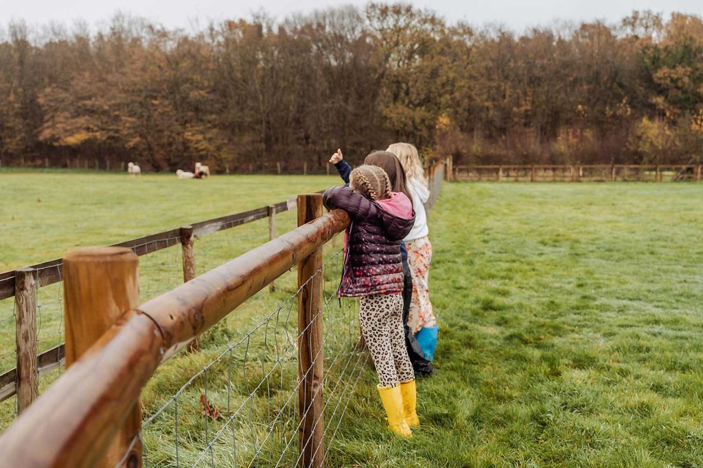 Girls looking at sheep in a meadow