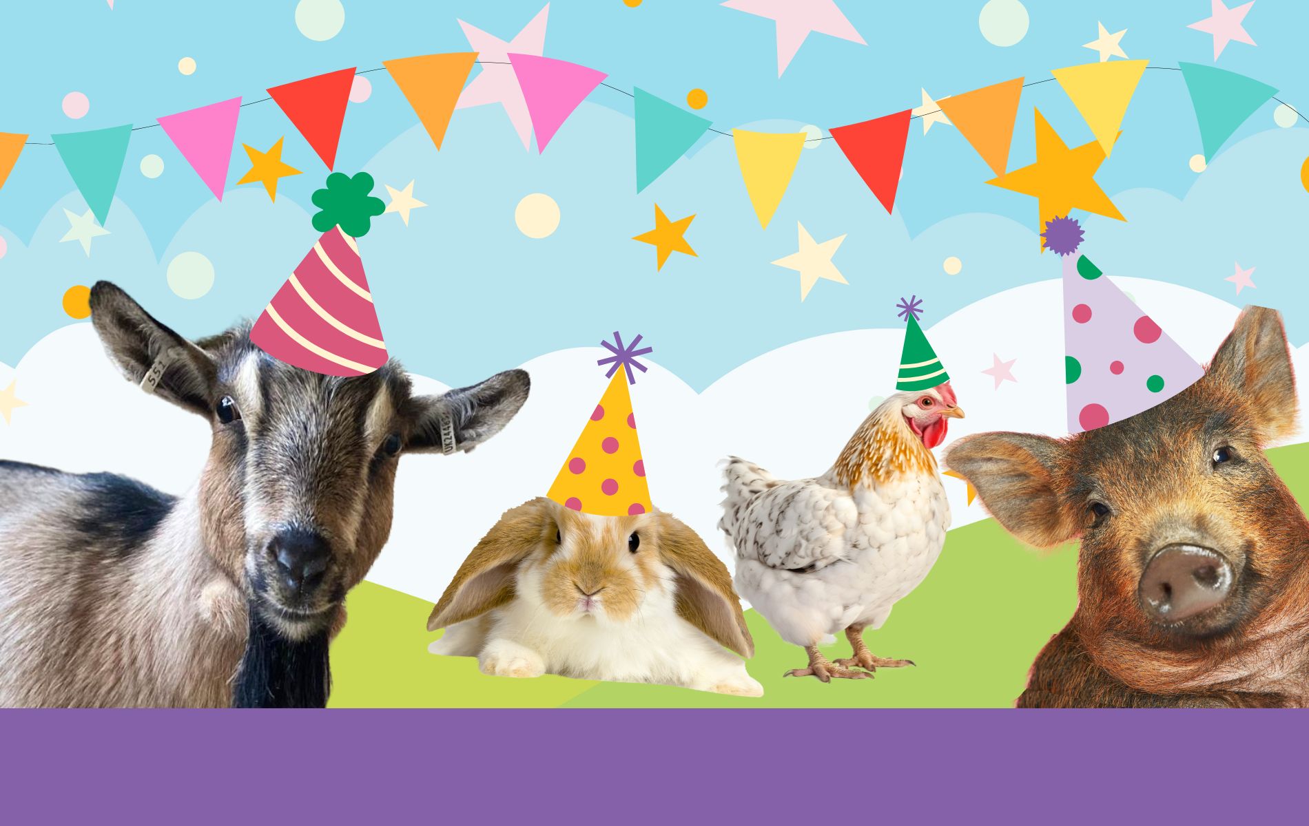 Farm animals in party hats