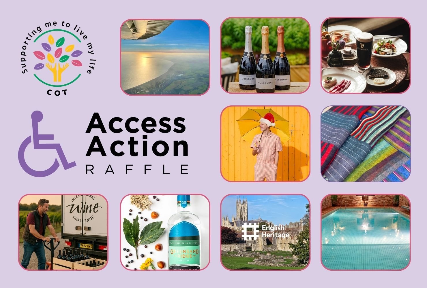 Pictures of prizes for the Access Action raffle