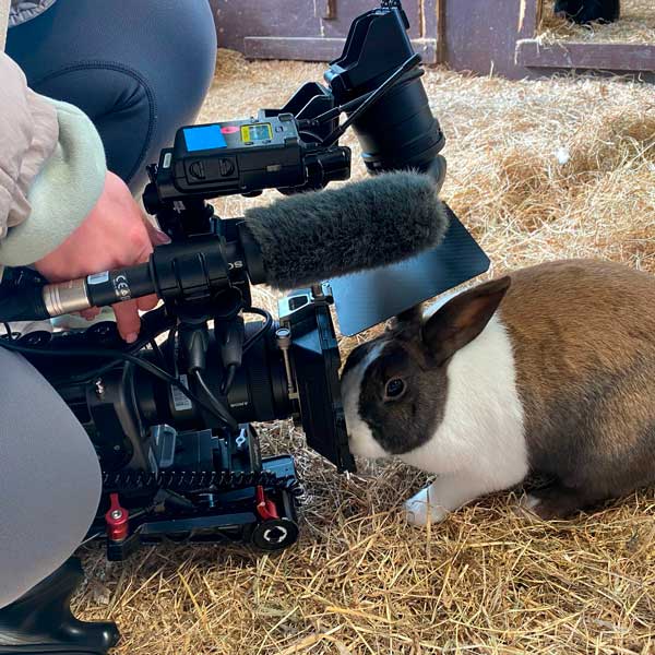 A bunny interested in the Blue Peter film camera