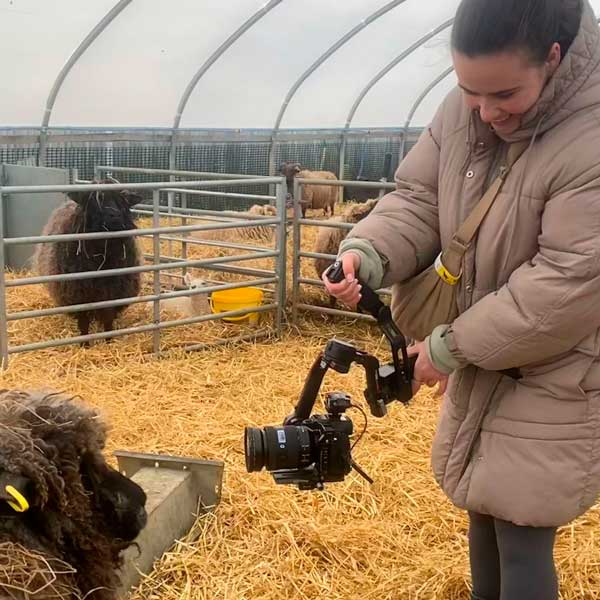 Filming at the Rare Breeds Centre