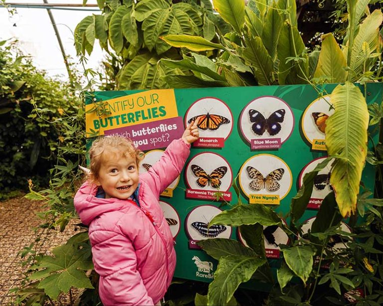 Little girl in butterfly tunnel