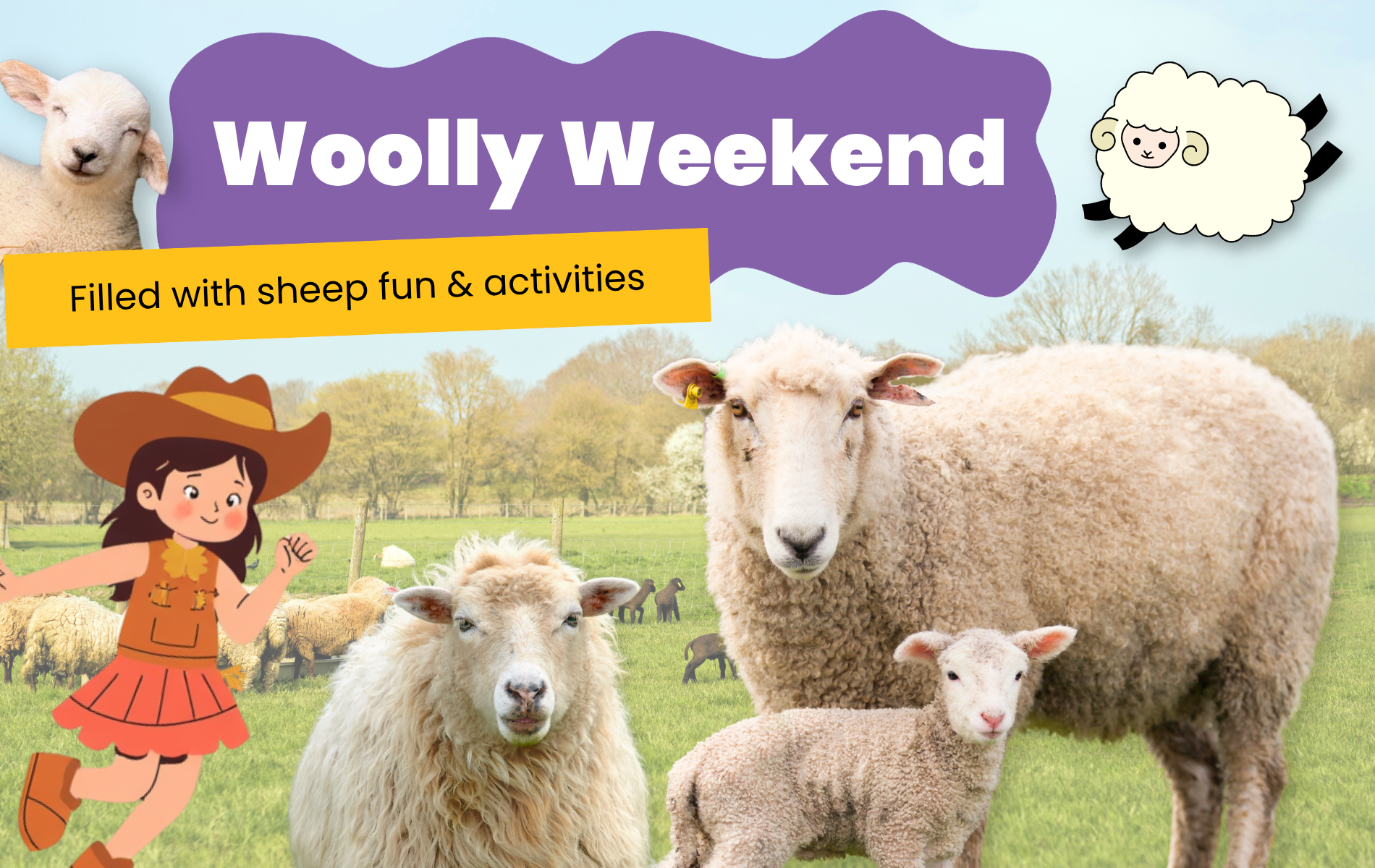 Woolly weekend