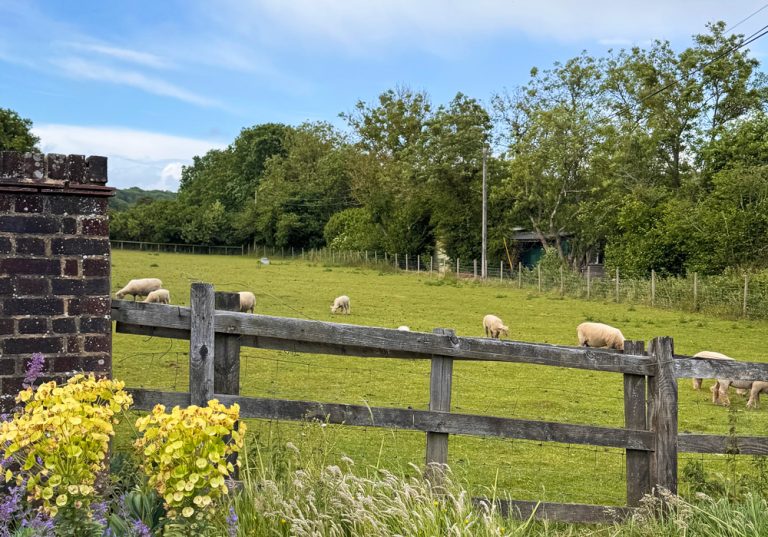 Rare Breeds Centre farm entrance