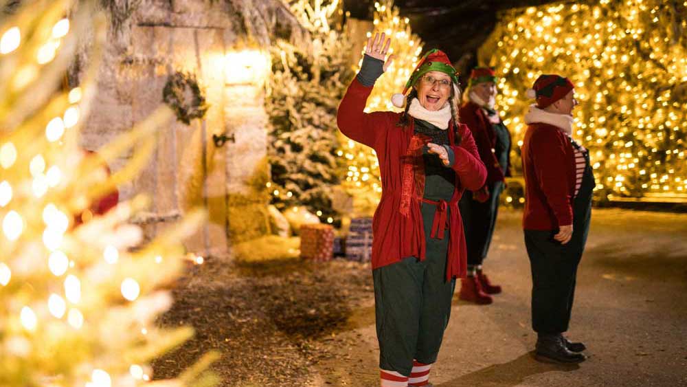 Santa's elves in a sparkly grotto