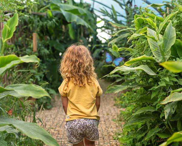 Little girl in butterfly tunnel