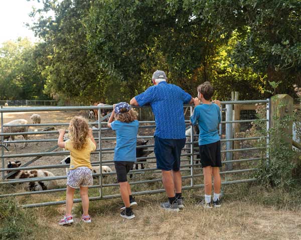 Farm group