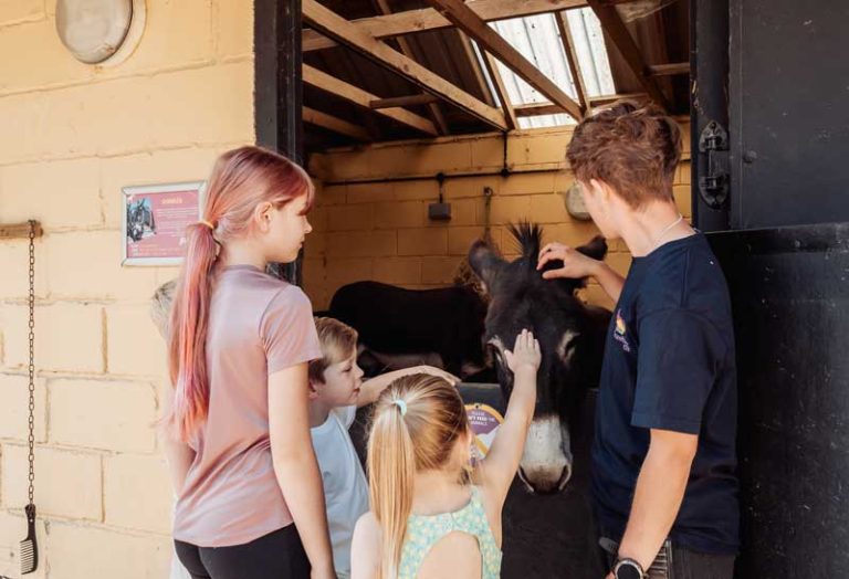 school education programme children learning about farm animal care