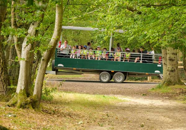 School group trailer rides