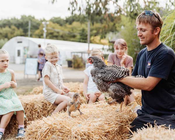 Children learning about chickens on the farm