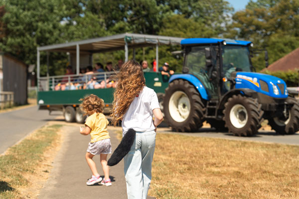 Trailer rides on the farm