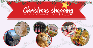 Christmas shopping at the Rare Breeds Centre